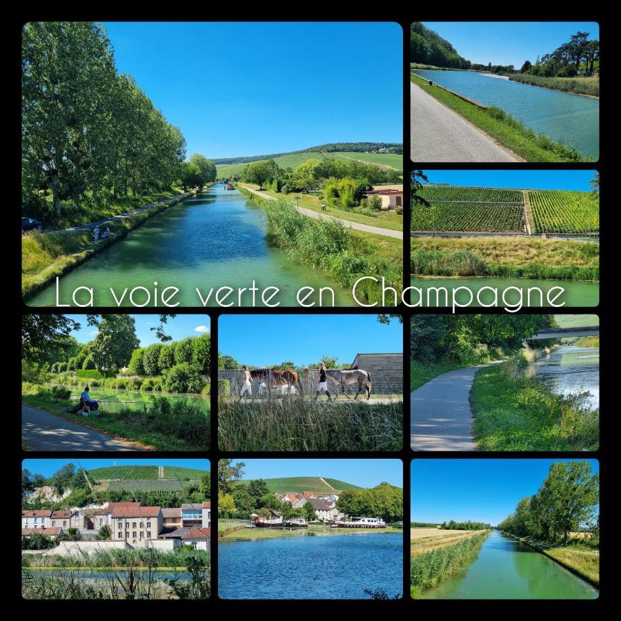 Enjoy En Champagne Maison Calme Au Milieu Du Vignoble Avec Parking Gratuit Dormans Eksteriør billede
