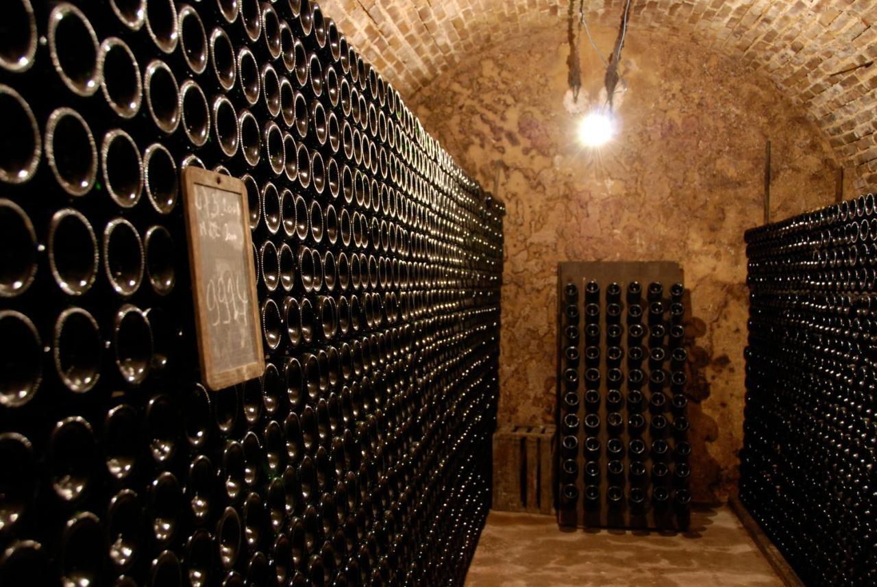 Enjoy En Champagne Maison Calme Au Milieu Du Vignoble Avec Parking Gratuit Dormans Eksteriør billede