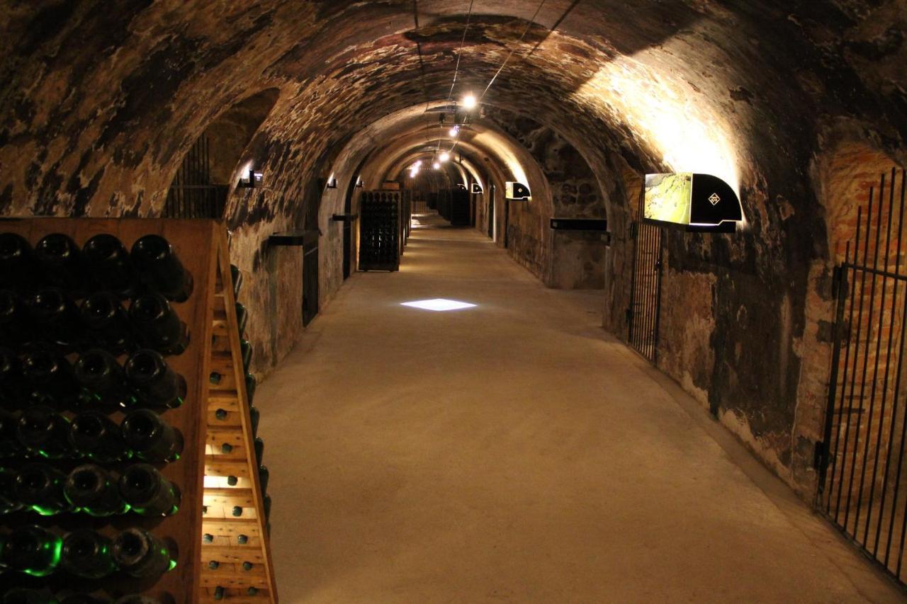 Enjoy En Champagne Maison Calme Au Milieu Du Vignoble Avec Parking Gratuit Dormans Eksteriør billede