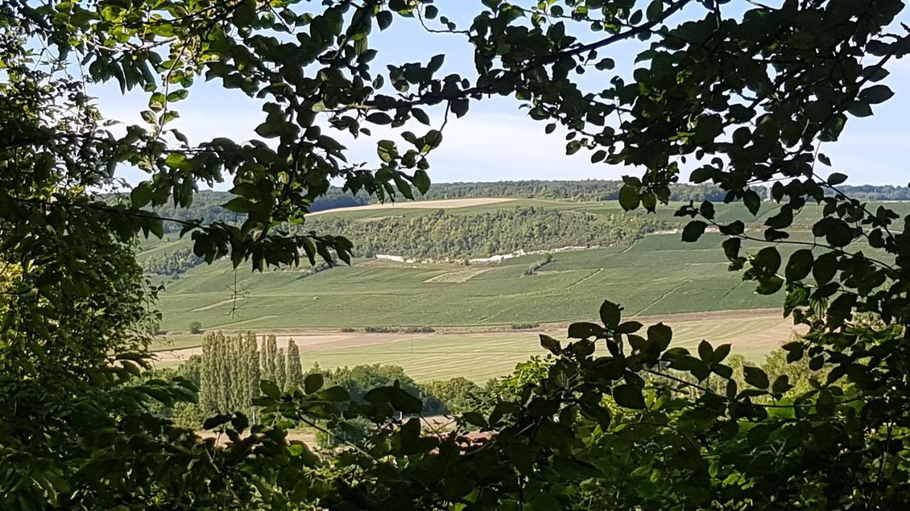 Enjoy En Champagne Maison Calme Au Milieu Du Vignoble Avec Parking Gratuit Dormans Eksteriør billede